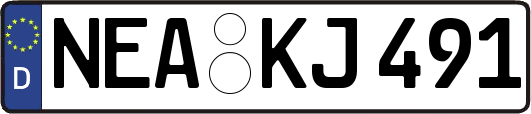NEA-KJ491