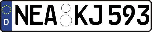 NEA-KJ593