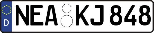 NEA-KJ848