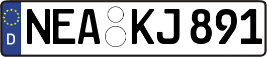 NEA-KJ891
