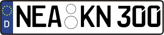 NEA-KN300