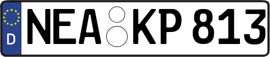 NEA-KP813
