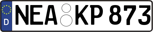 NEA-KP873