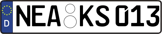 NEA-KS013