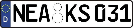 NEA-KS031