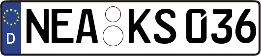 NEA-KS036