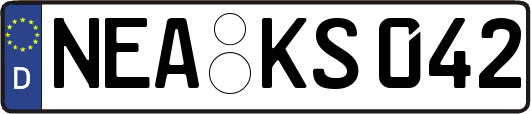 NEA-KS042