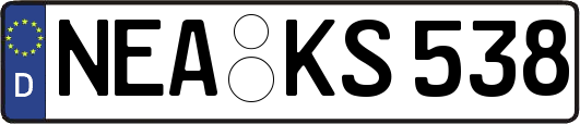 NEA-KS538