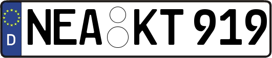 NEA-KT919