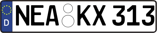 NEA-KX313