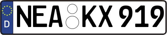 NEA-KX919