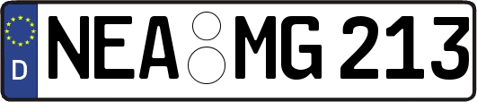 NEA-MG213