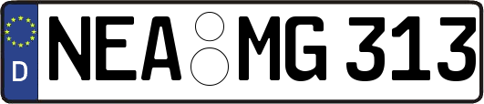 NEA-MG313