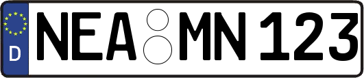 NEA-MN123