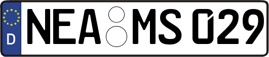 NEA-MS029