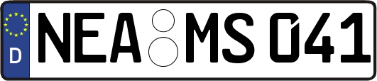NEA-MS041