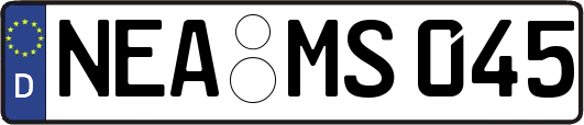 NEA-MS045