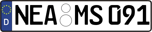 NEA-MS091