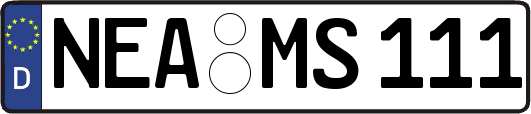 NEA-MS111