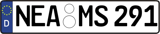 NEA-MS291