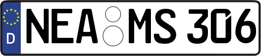NEA-MS306