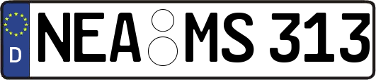 NEA-MS313