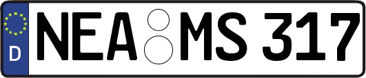 NEA-MS317