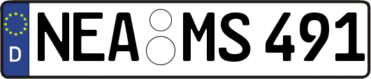 NEA-MS491