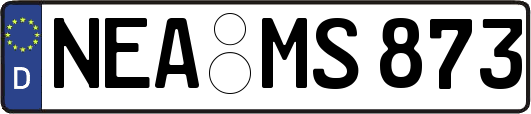 NEA-MS873