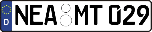 NEA-MT029