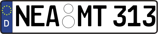 NEA-MT313