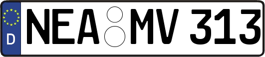 NEA-MV313