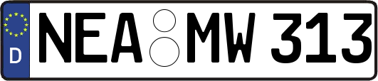 NEA-MW313