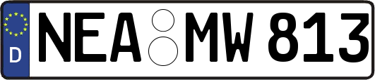 NEA-MW813