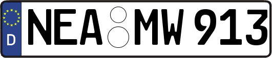 NEA-MW913