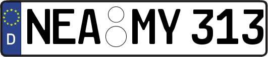 NEA-MY313