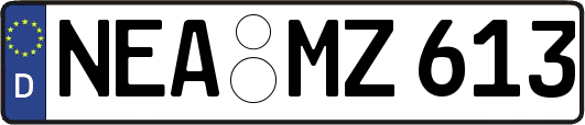 NEA-MZ613