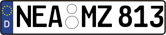 NEA-MZ813