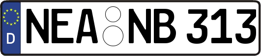 NEA-NB313