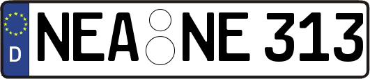 NEA-NE313