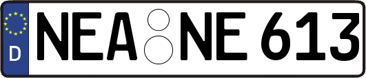 NEA-NE613