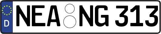 NEA-NG313