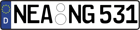 NEA-NG531