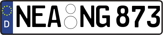 NEA-NG873