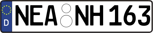NEA-NH163