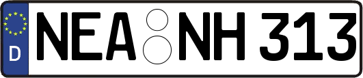 NEA-NH313