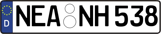 NEA-NH538