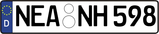 NEA-NH598