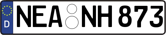 NEA-NH873