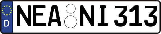 NEA-NI313